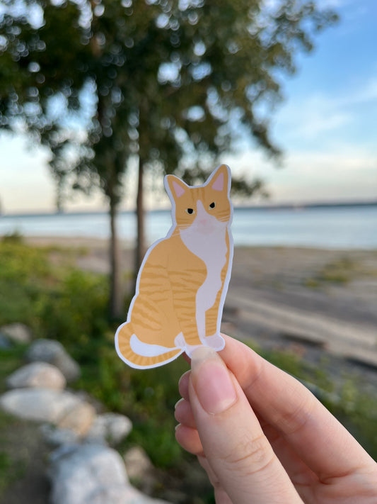 Autocollant- Chat roux