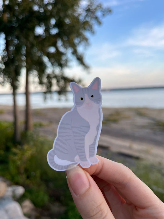 Autocollant-Chat gris ligné