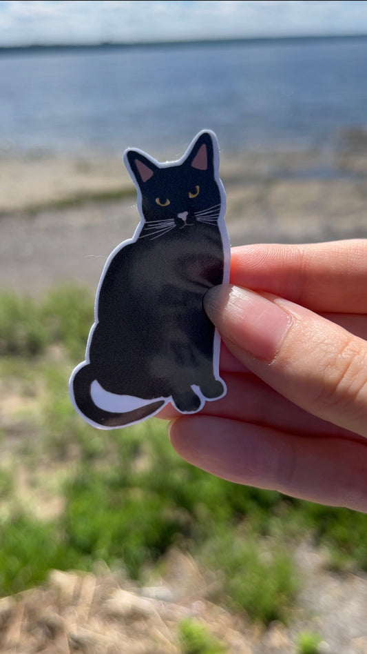 Autocollant-Chat noir(yeux orange)