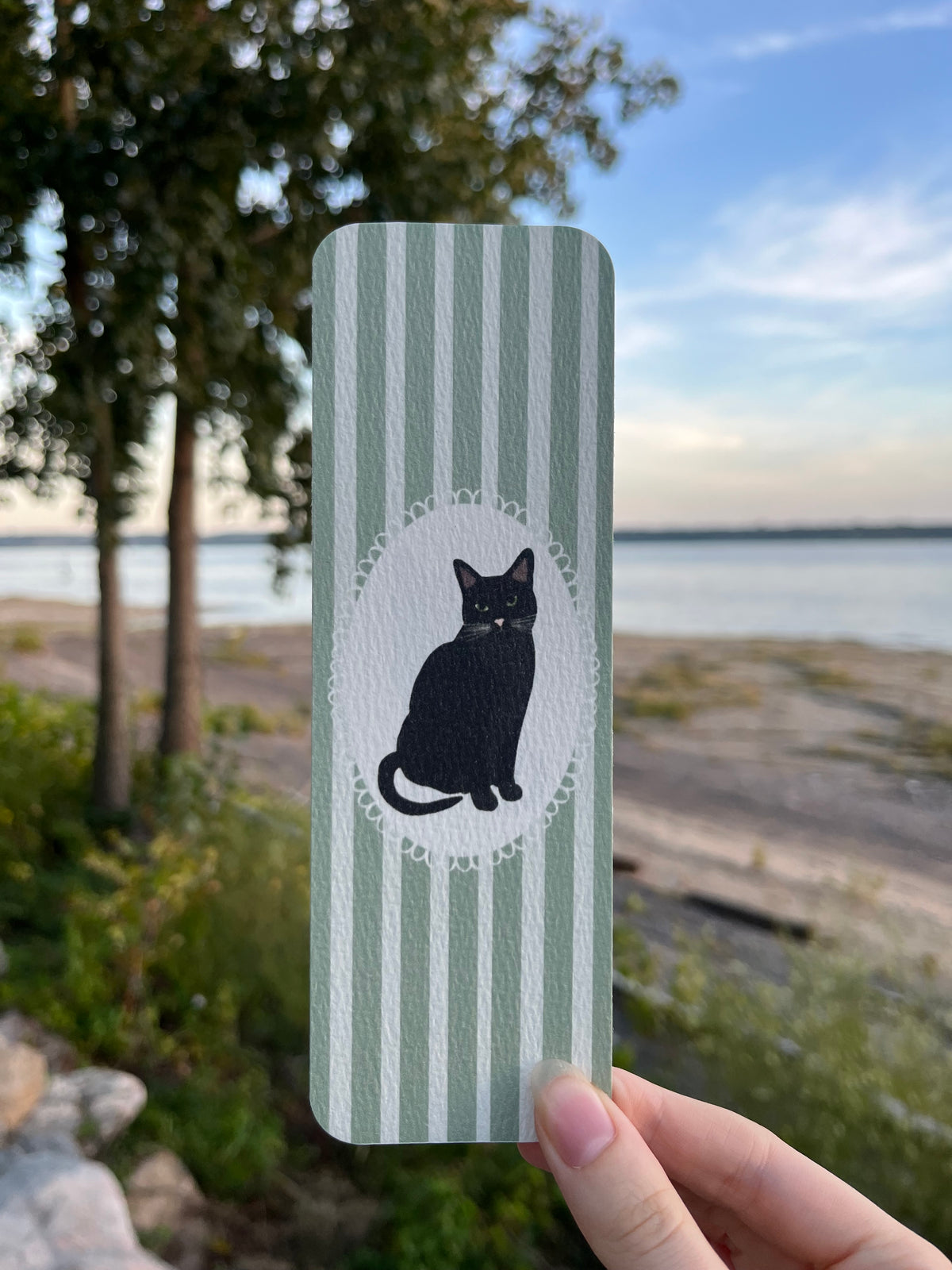 Signet - Chat noir