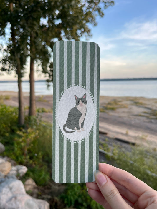 Signet - chat gris