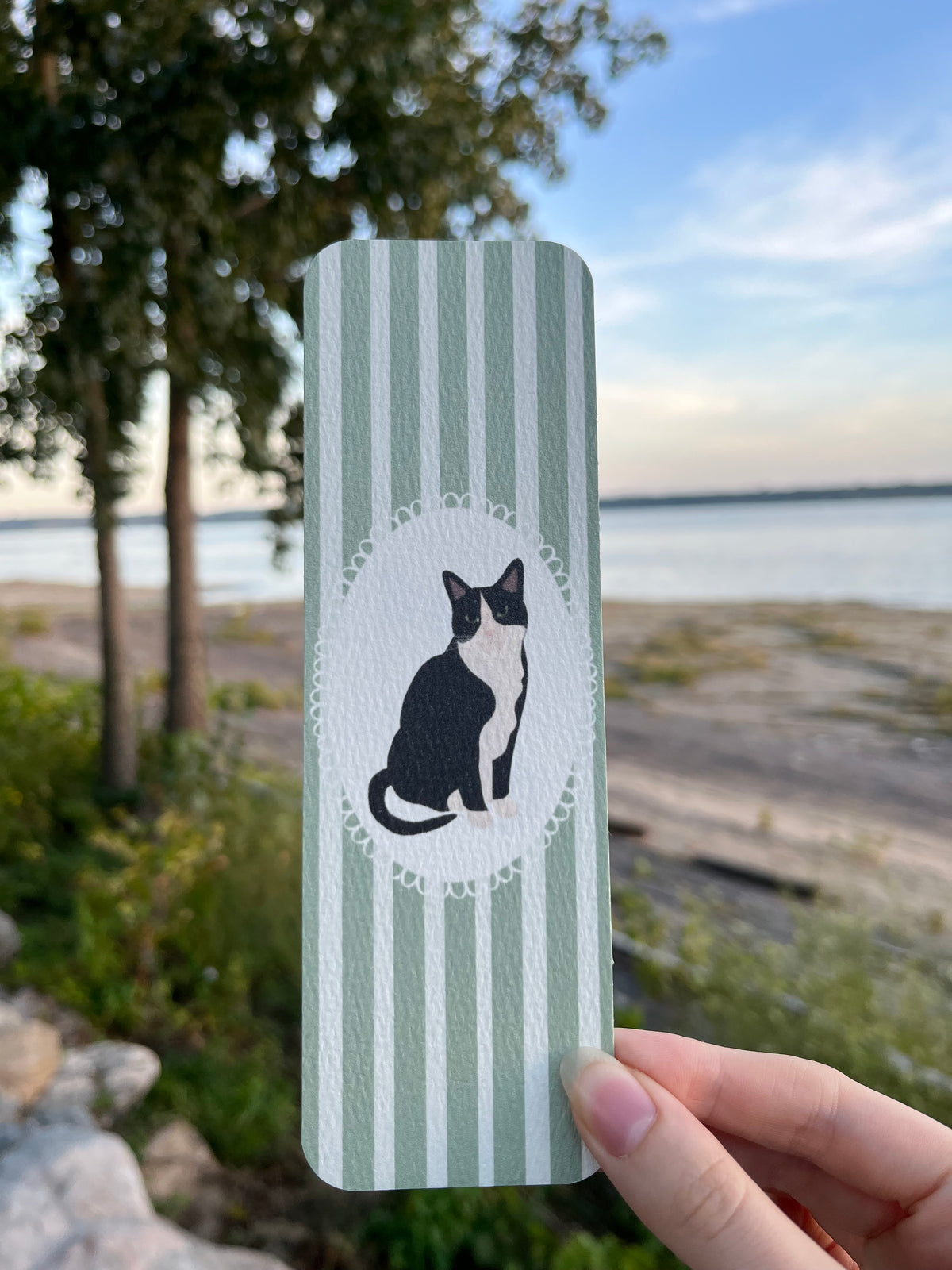 Signet - chat tuxedo