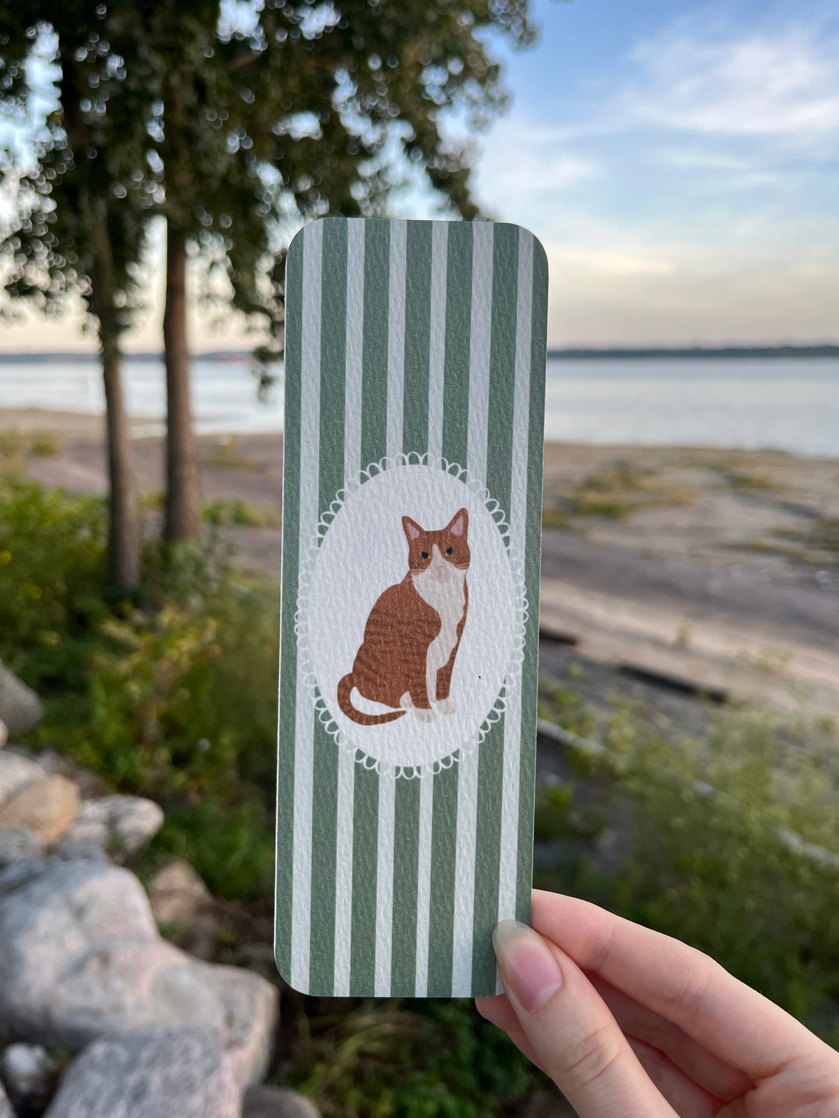 Signet - chat orange