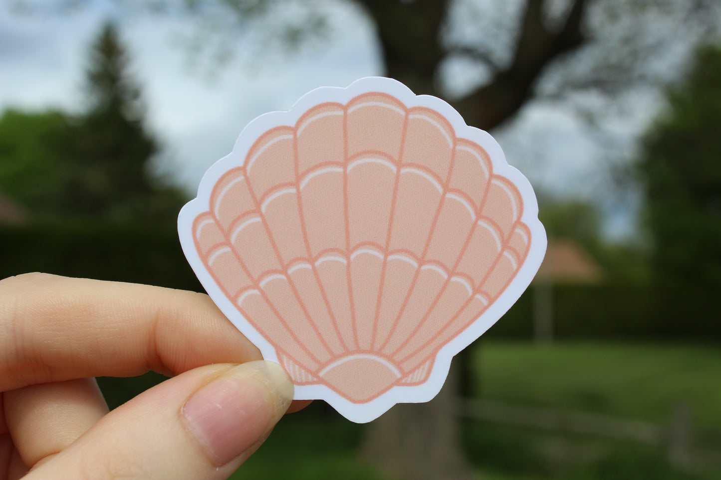 Autocollant - Coquillage