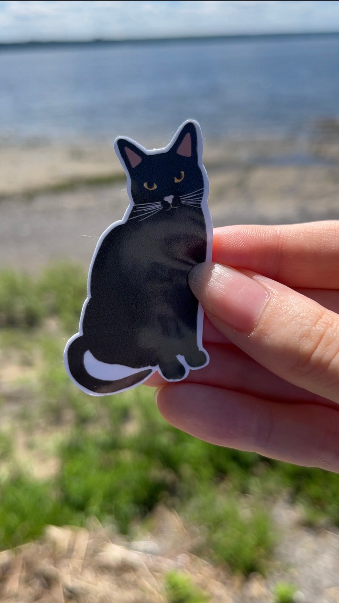 Autocollant-Chat noir(yeux orange)